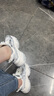Champion美國(guó)冠軍2025新款老爹鞋女男 潮流時(shí)尚休閑星云千層老爹鞋25FWC65 曬單實(shí)拍圖