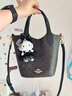 蔻馳（COACH）【京東奧萊】Hanna Bucket Bag 女士水桶包菜籃子手拎包斜挎包 褐色logo CAF16-IMXAQ 曬單實(shí)拍圖