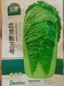 北蔬 北京新三號大白菜種子耐寒秋冬庭院田間蔬菜籽 北京新三號種子5g 曬單實拍圖