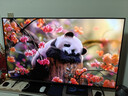 TCL電視 65T7L Pro 65英寸 QD-Mini LED 蝶翼星曜屏 萬(wàn)象分區(qū) 絢彩XDR2200nits 超薄 國(guó)家補(bǔ)貼20% T7K 曬單實(shí)拍圖