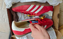 阿迪達(dá)斯 （adidas）中性 三葉草系列 GAZELLE INDOOR 低幫休閑鞋 IF1808 紅白  41  曬單實(shí)拍圖