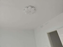 雷士（NVC）LED臥室護(hù)眼吸頂燈奶油風(fēng)全光譜燈具智能遙控三色向日葵兒童燈 48W 薦【向日葵】Ra98顯指 智控 曬單實拍圖