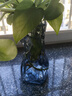 玻璃花瓶輕奢創(chuàng)意插花瓶ins風(fēng)歪脖花瓶客廳餐廳家居擺件 15歪脖花瓶1個 煙灰色 曬單實拍圖