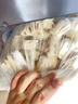 包道【量折】蝦仁云吞魚(yú)籽鮮豬肉云吞餛飩餃子速凍食品廣式早茶早餐 勁爽豬肉云吞312g 曬單實(shí)拍圖