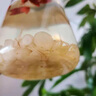 北京同仁堂特級西洋參片胖東來品質(zhì)精選長白山西洋參切片花旗參營養(yǎng)品補品 [精選]500g(250g*2罐) 特級西洋參大片 曬單實拍圖