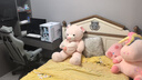 南皇電競椅男生180度人體工學(xué)椅可躺久坐打游戲扶手升降電腦椅力學(xué)椅 180°平躺-呼吸布-3級桿-帶擱腳 155-180度(含) 可旋轉(zhuǎn)可升降扶手 曬單實拍圖
