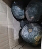 京典光年貝貝南瓜 內蒙 小南瓜新鮮蔬菜軟糯香甜輕食低脂餐 單果300-500克 貝貝南瓜 3斤 實惠裝 曬單實拍圖