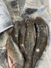 御瀘鮮湘正宗微山湖野鯽魚土鯽魚鮮活現殺現發(fā)淡水鯽魚大鯽魚小鯽魚批發(fā) 中鯽魚3斤裝(4-6條/斤) 順豐發(fā)貨 曬單實拍圖