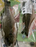 太湖?！緹o抗或有機認證 淡水鱸魚】孕婦嬰兒童食輔 鮮活三去魚類水產(chǎn) 【無抗鱸魚】200g/條*3條 曬單實拍圖