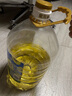 金龍魚 食用油 物理壓榨葵花籽油6.18L 曬單實拍圖