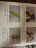 中國傳統(tǒng)節(jié)日故事 端午節(jié) 中英雙語繪本注音版圖畫書幼兒園大小班0-3-6歲寶寶親子共讀繪本出游書單 曬單實拍圖