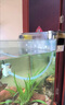 sobo魚(yú)缸過(guò)濾器外置壁掛式過(guò)濾盒小型魚(yú)缸專(zhuān)用水循環(huán)凈水靜音滴流盒 【升級帶蓋】2盒濾倉+過(guò)濾棉 曬單實(shí)拍圖