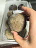 華田禾邦全麥雜糧饅頭 800g*2袋 16個(gè) 手工無糖五谷雜糧包 速食面點(diǎn) 早餐 曬單實(shí)拍圖