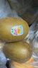 佳沛（zespri）新西蘭  陽光金奇異果巨大果22粒原箱 單果重約144-175g 獼猴桃 曬單實拍圖