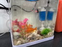 JCZS德國魚缸過濾制氧一體機(jī)超靜音客廳循環(huán)水泵凈水器三合一魚馬桶 【6W/吸便-培菌凈水】 曬單實拍圖