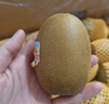 佳沛（zespri）新西蘭  陽光金奇異果10粒禮盒巨大果單果約144-175g 水果 獼猴桃 曬單實拍圖