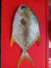 翔泰 海南金鯧魚凈重900g 2條裝  魚類生鮮 燒烤 火鍋食材 海鮮水產(chǎn) 曬單實拍圖