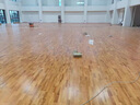 恒星美特運動木地板羽毛球館防滑體育館籃球館舞蹈室楓樺木運動木地板環(huán)保 45度斜鋪結構 片 楓樺木 曬單實拍圖