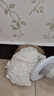 三和 發(fā)泡膠泡沫膠填縫劑 發(fā)泡劑 狼顧聚氨酯泡沫填縫劑  曬單實拍圖