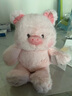 名創(chuàng  )優(yōu)品（MINISO）福莉絲豬系列-乖乖坐姿公仔毛絨玩具玩偶抱枕娃娃生日禮物女 曬單實(shí)拍圖
