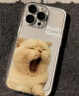 正屋搞怪可愛(ài)貓咪狗狗適用蘋(píng)果16手機殼iphone16promax電鍍鏡面15promax潮15pro 電鍍鏡面 困困小貓 16pro 曬單實(shí)拍圖