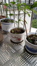 中吉萬(wàn)興 304不銹鋼陽(yáng)臺(tái)防盜網(wǎng)墊板窗臺(tái)防墜沖孔板窗戶擋板隔板可定制尺寸 304不銹鋼防護(hù)網(wǎng) 長(zhǎng)1米 寬70厘米 曬單實(shí)拍圖
