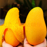 譯優(yōu)農(nóng)正宗海南芒果三亞金煌芒新鮮熱帶水果當(dāng)季水仙特大甜心芒特產(chǎn)送禮 凈重9斤果王【單果500g+】 曬單實(shí)拍圖
