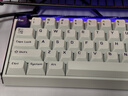MelGeekMADE68 PRO+磁軸鍵盤TTC萬磁王紫心軸RT0.01電競游戲客制化機械無畏契約打瓦小蜜蜂情侶 MADE68 PRO+紫光【紫心軸】 有線MelGeek 68鍵 曬單實拍圖