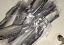 美加佳挪威青花魚片凈重2斤（8-10片）鯖魚片 獨立包裝 去頭去尾去臟 曬單實拍圖