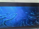 海信電視小墨E5Q Pro 65英寸超畫質(zhì)U+Mini LED 信芯芯片 墨晶屏300Hz 65E5Q-PRO E5NPRO+升級國家補貼 曬單實拍圖