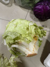 綠食者 新鮮蔬菜沙拉組合4斤 西餐色拉沙拉生菜輕食健身食材配菜 4斤【無(wú)沙拉醬】 曬單實(shí)拍圖