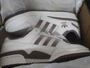 adidas FORUM LOW CL休閑籃球板鞋女子新款阿迪達(dá)斯官方三葉草 白/奇妙白/影跡棕     39 曬單實(shí)拍圖