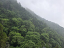 迪卡儂（DECATHLON）速干褲快干褲徒步登山長(cháng)褲男女輕薄透氣可拆卸MT500-2025年新 卡其綠-男款 L /XL/46 曬單實(shí)拍圖