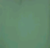 柳伊（Liuei）軍訓枕頭陸式記憶枕單人宿舍學(xué)生隊用睡眠枕軍綠色枕頭枕芯 記憶棉枕勞保軍訓枕頭 04軍綠色枕頭【含枕套】 45x28cm 曬單實(shí)拍圖
