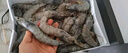 草原宏寶內(nèi)蒙原切羔羊肉片 凈重1斤/袋 羊肉卷 火鍋食材 地標(biāo)認(rèn)證 曬單實(shí)拍圖