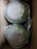 茗山生態(tài)茶 茶葉 碧螺春 明前綠茶 2025新茶 春茶嫩芽 400g 曬單實拍圖
