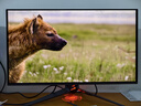 華碩（ASUS）ROG 超神X OLED PG32UCDMR 32英寸 4K 240Hz 電競(jìng)顯示器 HDR400 0.03ms 支持KVM Type-C 90W DP2.1 曬單實(shí)拍圖