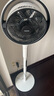 東芝（TOSHIBA）【花信風】電風扇空氣循環(huán)扇家用落地扇直流變頻電風扇靜音臥室超靜音一級能效風扇F-DSC800XCN(W) 曬單實拍圖