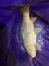 云上飄漁具日本進(jìn)口釣魚線主線路亞線專用 半浮水磯釣線尼龍線拋竿線 300M 3.0# 曬單實(shí)拍圖