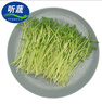 聽蔬有機豌豆苗豆芽豌豆尖兒 寶寶孕媽食材 有機認證新鮮采摘火鍋蔬菜 300g左右（一盒） 曬單實拍圖