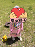 B.DUCK兒童保溫杯水杯316不銹鋼三蓋吸管杯小學(xué)生杯子男女便攜水壺600ml 曬單實(shí)拍圖