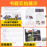 【贈(zèng)電子試卷】2025秋 繪本課堂年級(jí)閱讀一年級(jí)二年級(jí)三年級(jí)四五六年級(jí)下上冊(cè)閱讀理解專項(xiàng)訓(xùn)練語文字詞句手冊(cè)人教版同步年紀(jì)閱讀學(xué)習(xí)書 正版 一年級(jí)上冊(cè) 年級(jí)閱讀 曬單實(shí)拍圖