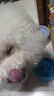 寶路狗糧全犬種通用全價糧成犬狗糧中小型犬牛肉味7.5kg【原料透明】 曬單實拍圖