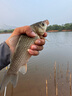 回力防曬衣男夏季涼感透氣皮膚衣防紫外線釣魚服輕薄沙灘衣外套男 曬單實(shí)拍圖