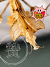 卡色（Kase）大師級百微鏡頭Plus 手機(jī)微距鏡頭高清拍攝花卉植物細(xì)節(jié)微觀背景虛化聚焦主體攝影配件 曬單實(shí)拍圖