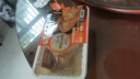 德州扒雞招牌公雞五香味脫骨燒雞中華老字號山東特產(chǎn)熟食500g 曬單實拍圖