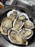 貝司令 鮮活乳山生蠔6XL 凈重4.5斤 6-8只 生鮮海鮮貝類 源頭直發(fā) 曬單實拍圖