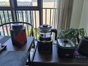 格麗思（GREENIS）養(yǎng)生壺 純鈦煮茶壺陳皮煮茶器家用燉煮壺花茶壺燒水壺保溫一體全自動恒溫電熱水壺電燉壺煎藥 噴淋式煮茶器 (直筒+噴淋雙茶漏) 1.3L 曬單實拍圖