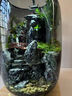 生態(tài)微景觀水培植物瓶創(chuàng)意擺件時來運(yùn)轉(zhuǎn)小魚缸diy辦公室桌面客廳 新款時來運(yùn)轉(zhuǎn)+定時植物燈【李白】 曬單實(shí)拍圖