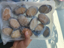 森農(nóng)樂鮑魚鮮活冷凍特大生鮮大號貝類海鮮水產(chǎn)超大即食佛跳墻食材鮑魚汁 14-16只/斤【中大鮑2斤 實(shí)發(fā)28-30只】 曬單實(shí)拍圖